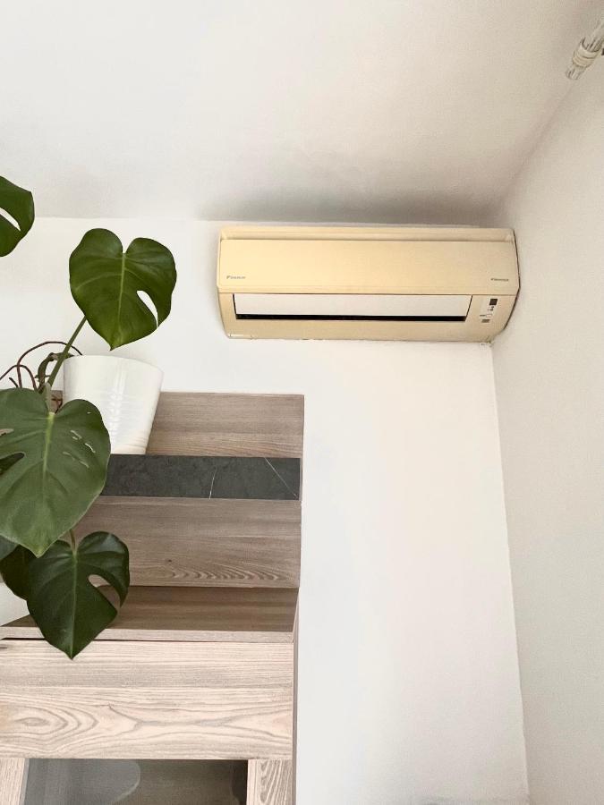 Antibes Home 2P 50M2 With Ac & Free Parking & 2 Balconies Eksteriør billede